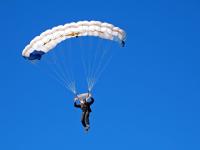 F1赛车最新战报！德国队迎战法国队，爆冷逆转，黑马强势击败劲敌