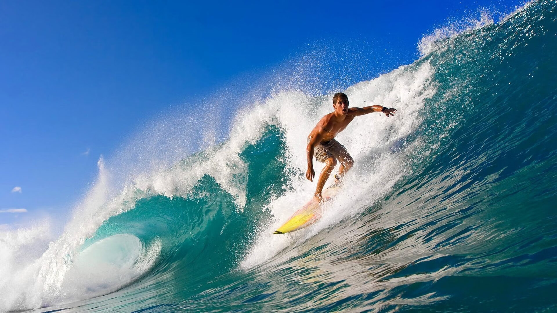 Karsa迎来五赛季高光表现，C9球迷沸腾！